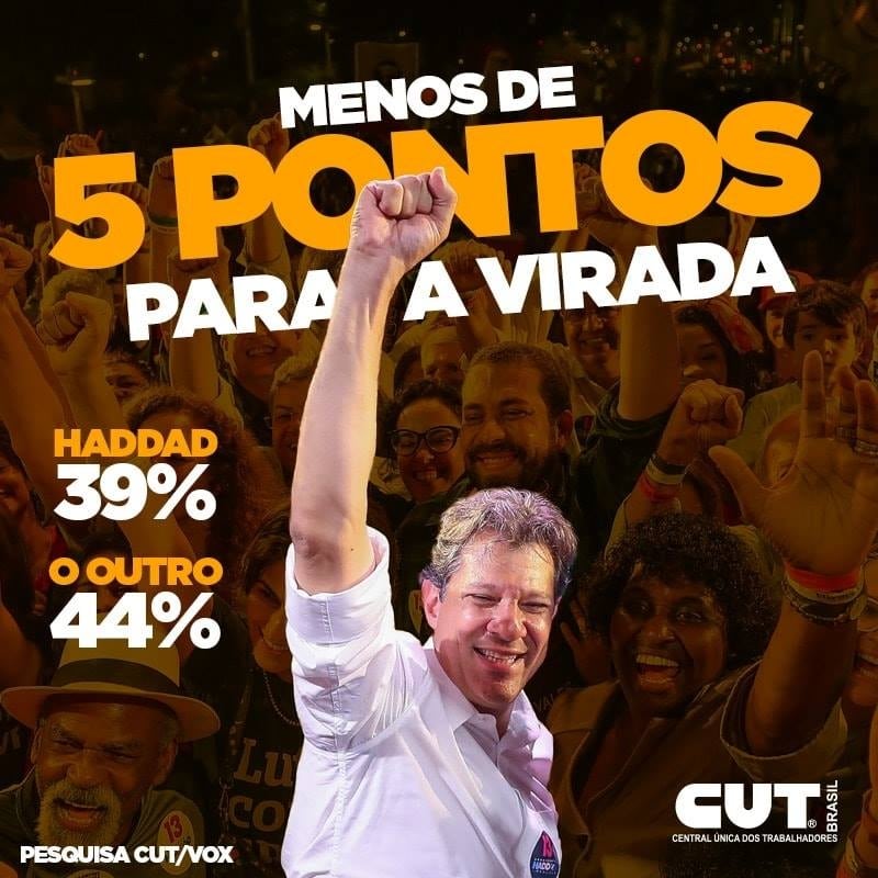 Empate entre Haddad e Bolsonaro acontece em uma cidade do país